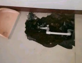 郧阳卫生间测漏水多少钱